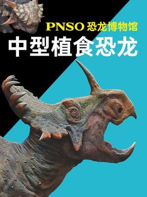 PNSO恐龙博物馆：中型植食恐龙