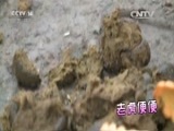 绿野寻踪 《绿野寻踪》 20160120