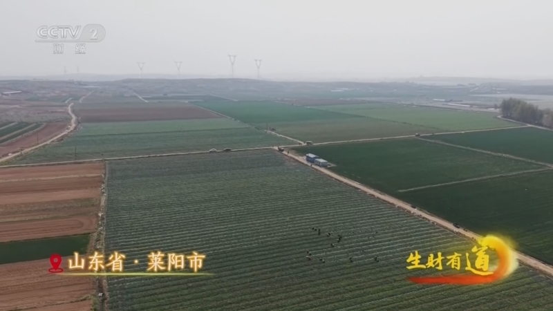 《生财有道》 20260506 肥助丰产 果富农家