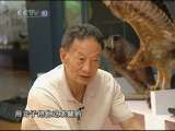 科技人生 新捕蛇者说 科技人生 20101205