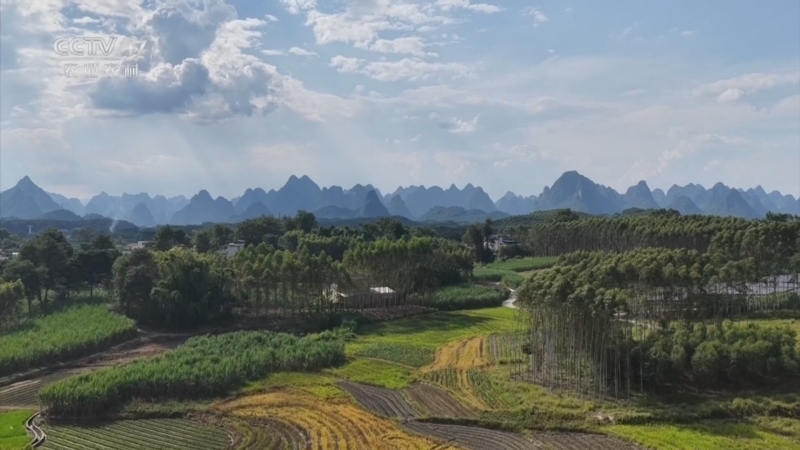 《三农群英汇》 20251027 丰收好把式——七十二小时南瓜保卫战