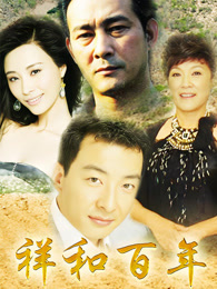 祥和百年 17集版