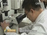 中国财经报道 《中国财经报道》 20160227 感受中国新动能：免疫细胞对抗癌症