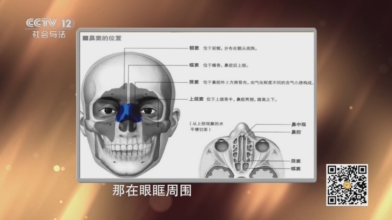 《夕阳红》 20260112 当呼吸发出警告——鼻炎和鼻窦炎您能分清楚吗？