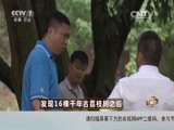 致富经 《致富经》 20150821 发现16棵千年古荔枝树之后