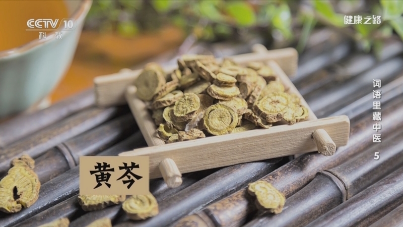 健康之路 《健康之路》 20240228 词语里藏中医 5