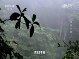 地理中国 《地理中国》 20170121 地球档案·谜“井”初探（上）