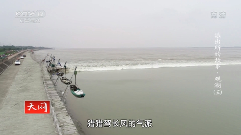 《天网》 20210310 系列纪录片《派出所的故事·观潮》（五）