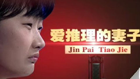 金牌调解 爱推理的妻子