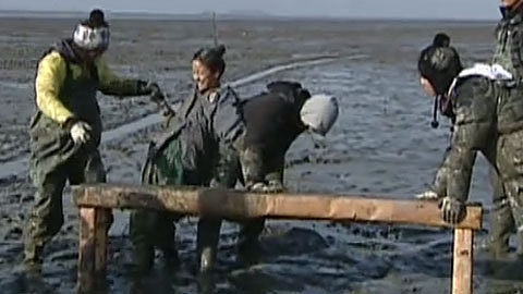 家族诞生 李孝利不顾形象泥坑打滚