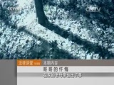 法律讲堂 《法律讲堂（生活版）》 20151129 哥哥的忏悔