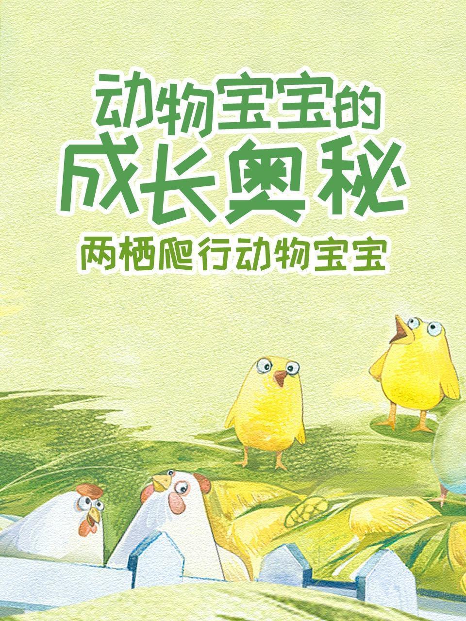 两栖爬行动物宝宝 动物宝宝的成长奥秘