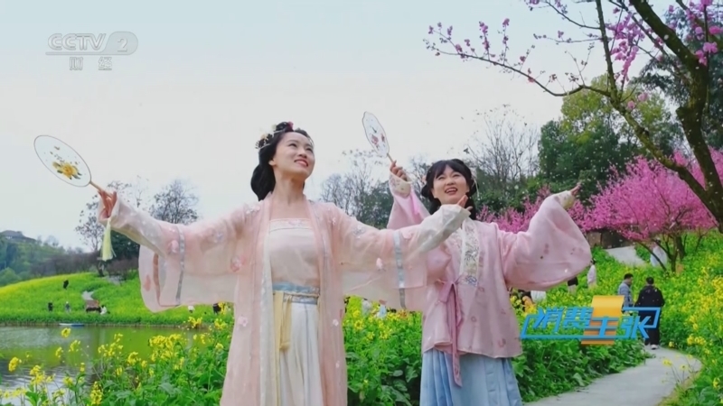 《消费主张》 20250505 中国乡村 惊艳世界（六）：重庆巴南集体村