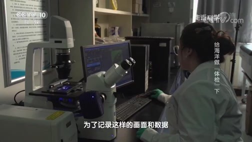 走近科学 《走近科学》 20190703 给海洋做“体检”（下）