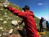 远方的家 《远方的家》特别节目 高原回响 20160810