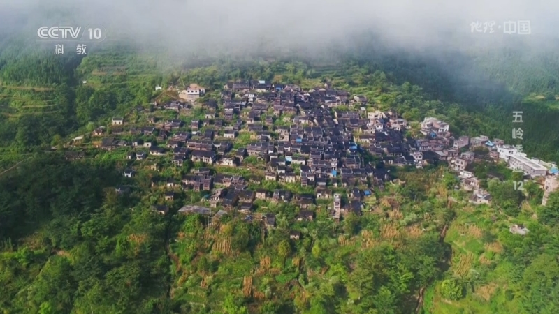 地理中国 《地理·中国》 20240112 五岭逶迤12