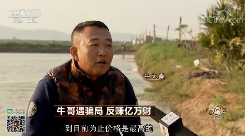 致富经 [致富经]牛哥遇骗局 反赚亿万财 20180129