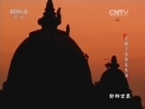 动物世界 《动物世界》 20161103 小猴子的快乐生活