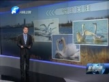 聚焦中原 《聚焦中原》 20151124