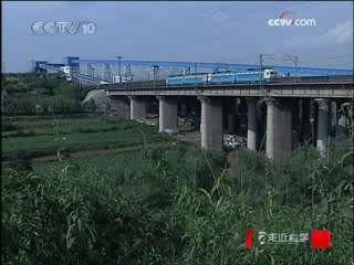 走近科学 寻找水蛛