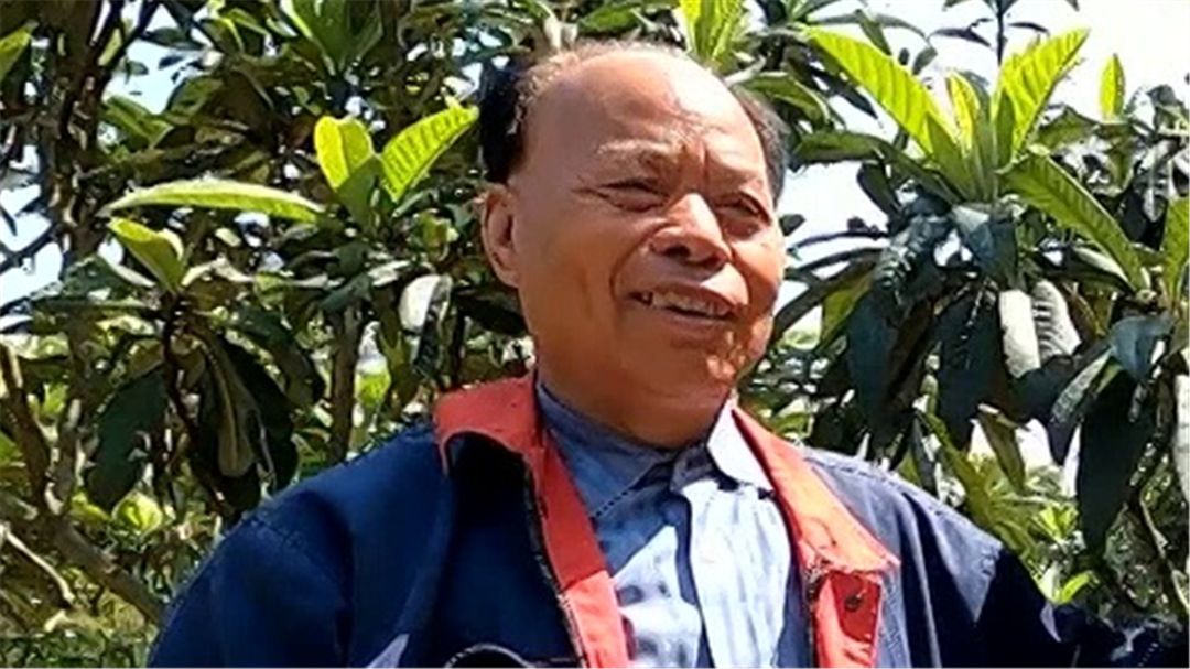 五一攻略 春游青浦新城 采“超大蘑菇”