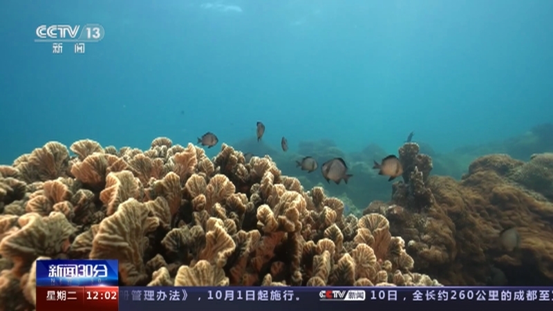 新闻30分 《新闻30分》 20230711