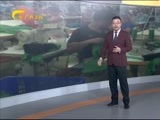 新闻夜总汇 《新闻大通道》 20160502
