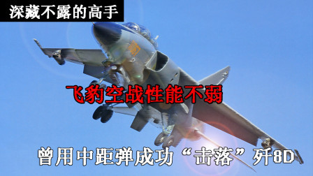 飞豹空战实力十分强悍，曾用中距弹“击中”歼8D1。