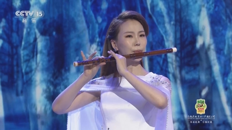 风华国乐 《风华国乐》 20251127