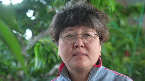 种植前线之硕果盈枝樱钾而甜 罗布泊肥料天然矿肥
