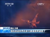 新闻直播间 《新闻直播间》 20141221 11:00