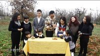 你是我的菜 你是我的菜 151218