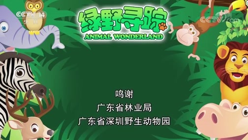 绿野寻踪 《绿野寻踪》 20190417