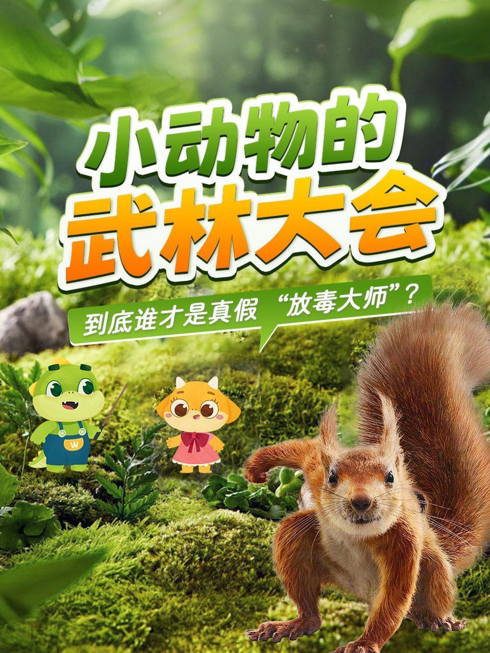 小动物的武林大会