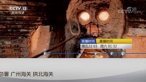 见证 《见证》 20190503 国门利剑（九）带毒的“旅客”
