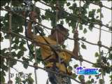 动感特区 动感特区 2010年 第41期