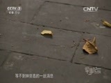 军事纪实 《军事纪实》 20160523 寻爱79年（上）