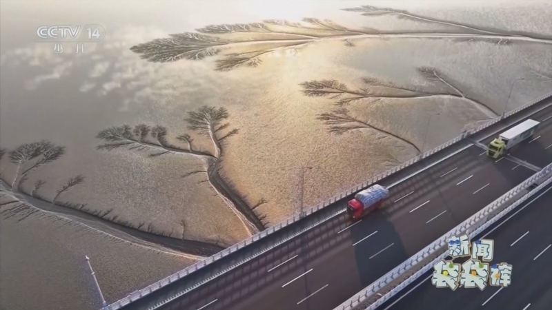 《新闻袋袋裤》 20260408