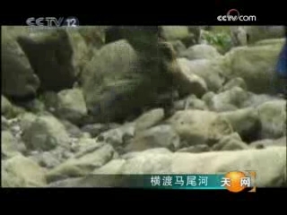 天网 横渡马尾河