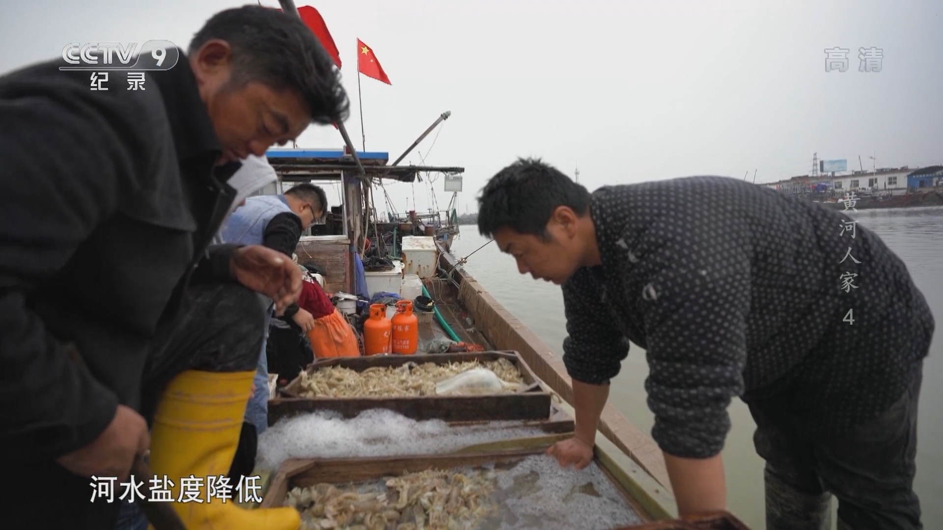 《黄河人家》 第4集 纳新