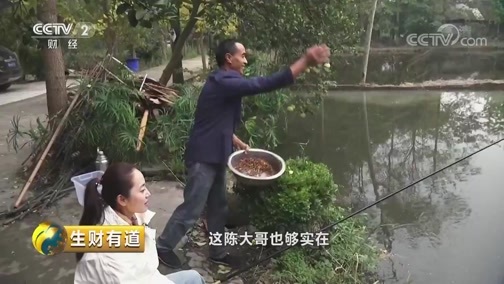 生财有道 《生财有道》 20181120 四川都江堰：文旅结合促振兴