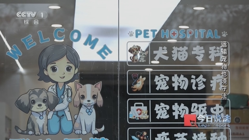 《今日说法》 20260325 运输宠物也须守法