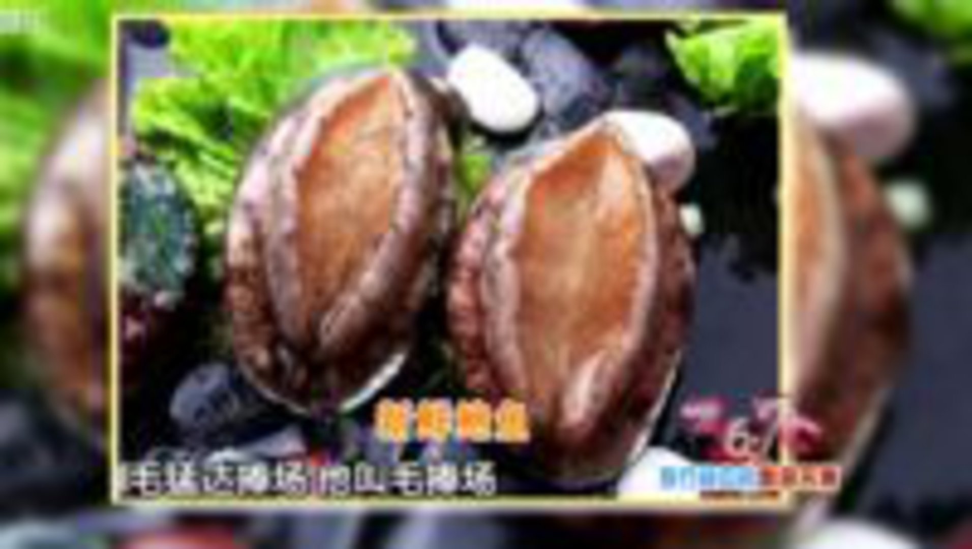 36.7℃明星听诊会 旅行途中的酸甜苦辣