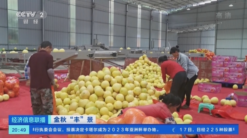经济信息联播 《经济信息联播》 20221017