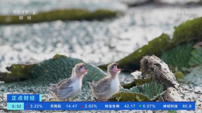 正点财经 《正点财经》 20221107 09:00