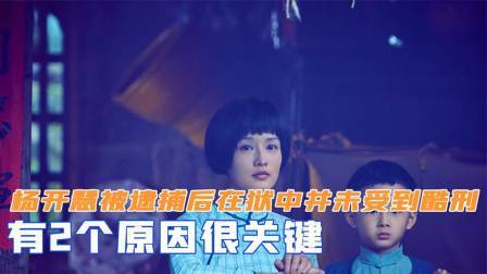史记文学社第三季 杨开慧被逮捕后，为何在狱中并未受到酷刑？有2个原因很关键
