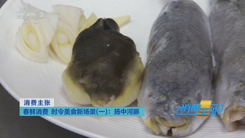 《消费主张》 20260320 春鲜消费 时令美食新场景（一）：扬中河豚