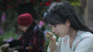 深深扎根在中华土地上，历久弥新的茶文化