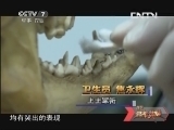 谁是终极英雄 《谁是终极英雄》 20131110 训犬高手大比拼