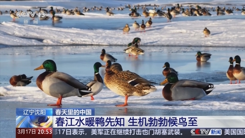 东方时空 《东方时空》 20250317